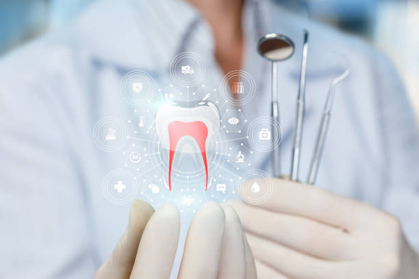 Professional Dental Services in Cary, NC